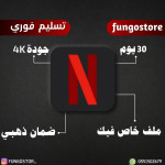Netflix subscription for one month - special file