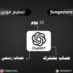 حساب شات جي بي تي بلس شهر - ChatGPT4o PLUS